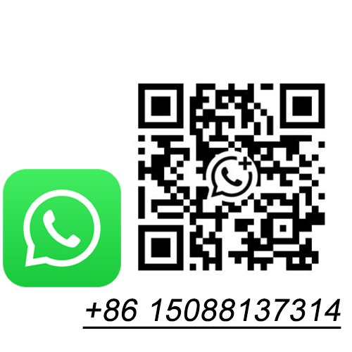whatsapp02